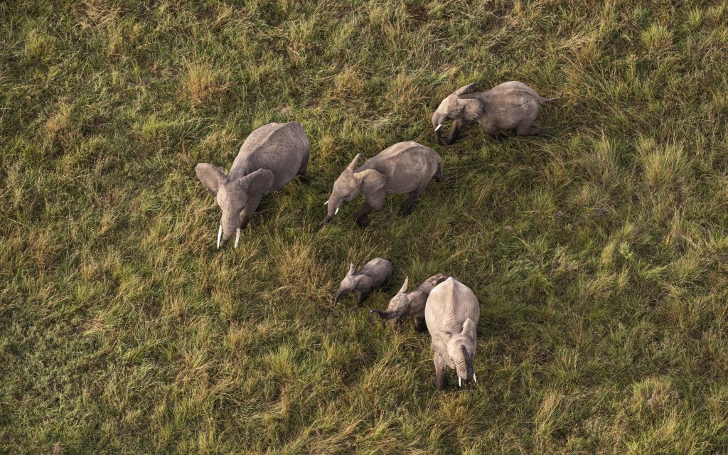 Luxury Kenyan Adventure 5 cbf48f7e1119e0a6d8dfd6b9180e9fa3 Louise and Scott at Hays Travel