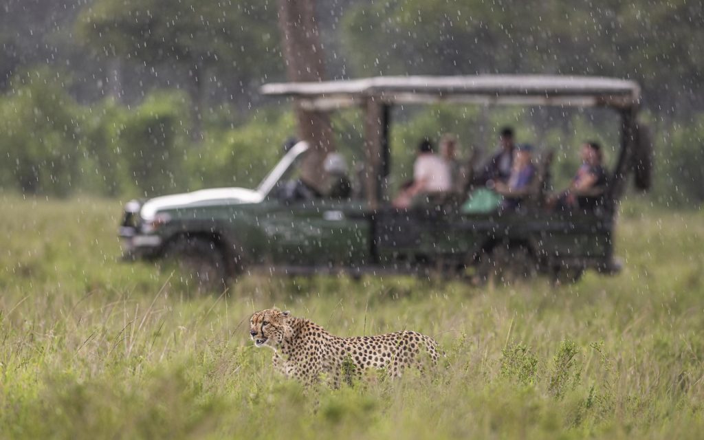 Luxury Kenyan Adventure 4 d22d13f37251345de8d6a624a2b3742f Louise and Scott at Hays Travel