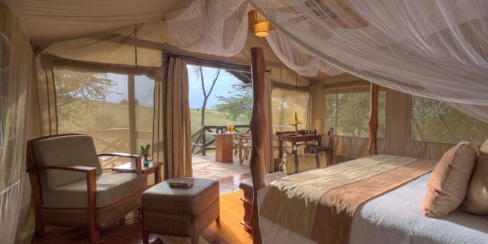 Amazing Baby Cheetah Safari & Beach Bliss 2025 1 15503b0c5c02ca3e0f26a2acb40ec4fe Louise and Scott at Hays Travel