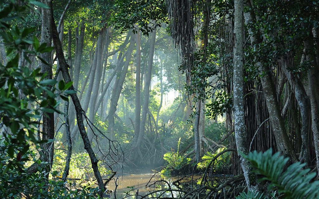 Discover Paradice Southern Caribbean Cruise & Puerto Rico Stay From: £2579pp 4 490175970 10164678141329688 7735765699318715337 n Louise and Scott at Hays Travel