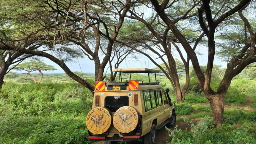 Amazing Baby Cheetah Safari & Beach Bliss 2025 5 Untitled design 8 Louise and Scott at Hays Travel