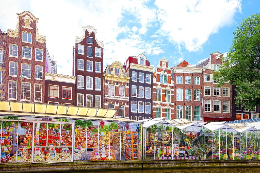 Luxury Travel Escape to the delightful Dutch Bulb Fields Springtime Colours From £905pp 6 489928967 3893868754276888 2883809222688732751 n 1 Louise and Scott at Hays Travel