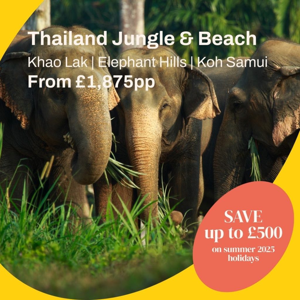 Amazing Thailand Holiday Deal: 10 Nights from £1,875 11 493557009 122129052842757687 6891818980407743585 n Louise and Scott at Hays Travel
