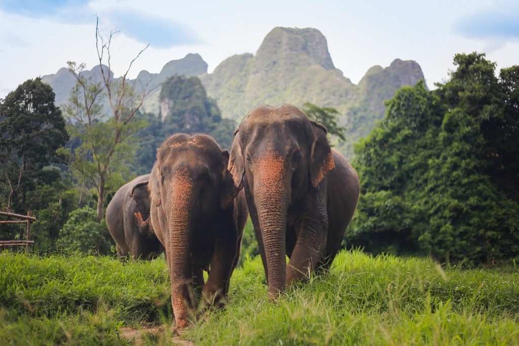 Amazing Thailand Holiday Deal: 10 Nights from £1,875 10 494307375 122129052974757687 2096675392877482212 n Louise and Scott at Hays Travel