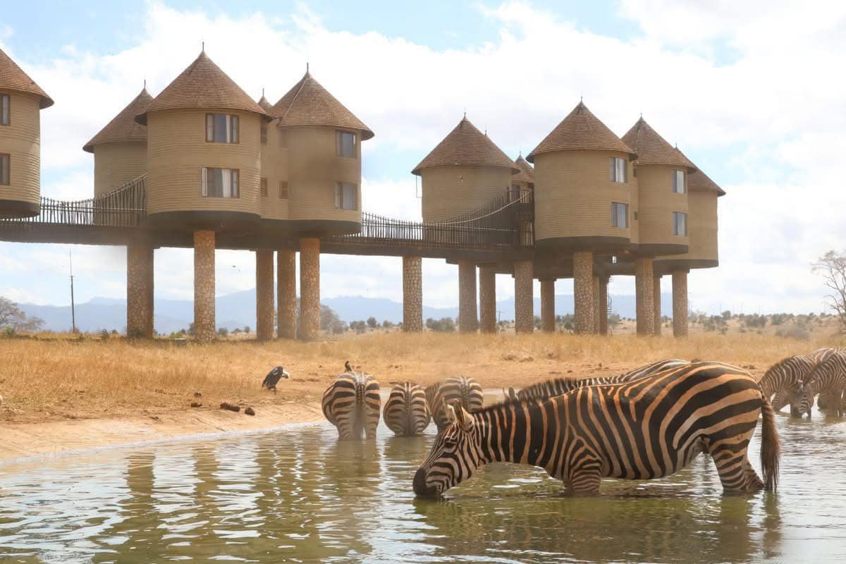 kenyan safari