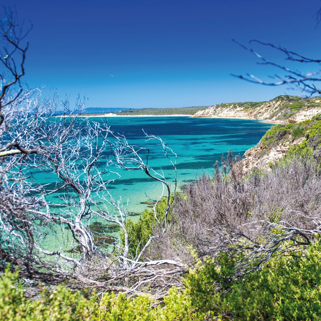 Wonderful P&O Cruises Arvia deals from Just £46pp per Month! 🌴 12 495239890 1126807182824694 529034061147327651 n Louise and Scott at Hays Travel