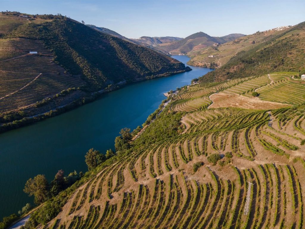 7 Unforgettable Train Journeys Through Portugal's Douro Valley -Book Now! 4 495337549 3873204219676675 4289067091546976804 n Louise and Scott at Hays Travel