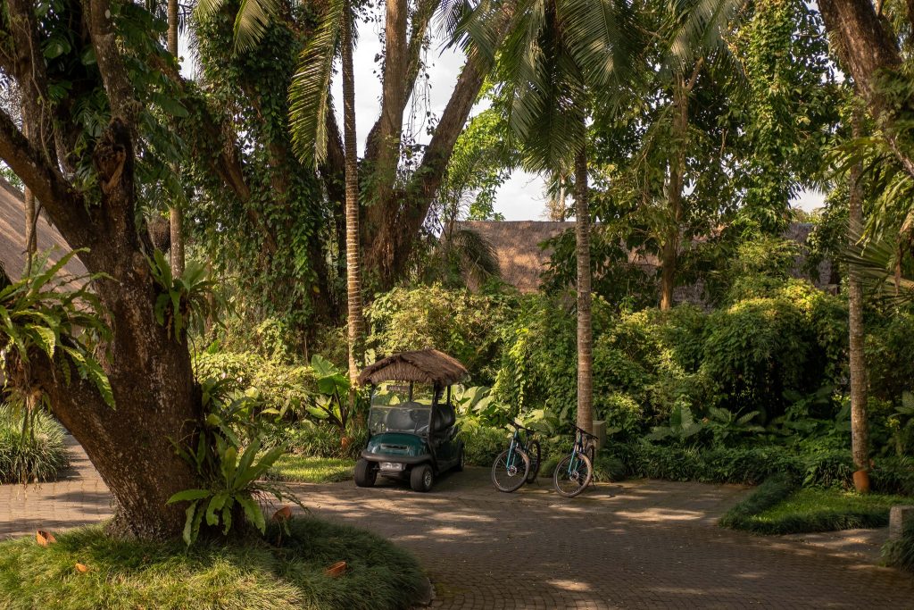 Amazing 9 Nights Bali Ubud & Beach Adventure from £1,609pp 5 495631760 665703839776403 8738277990938725125 n Louise and Scott at Hays Travel