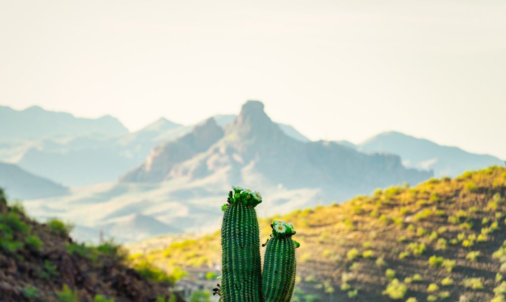 Amazing Tombstone Ranch & Scottsdale – Arizona Family Adventure! From £1889pp 3 495670658 2510782722600201 6750599659546592794 n Louise and Scott at Hays Travel