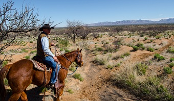Amazing Tombstone Ranch & Scottsdale – Arizona Family Adventure! From £1889pp 8 Tombstone Ranch & Scottsdale – Arizona Family Adventure! From £1889pp