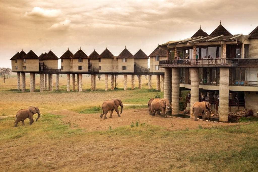 11 Nights: Private Kenya Safari with Scenic Train Journey & Mombasa Escape – from £3,899 Per Person! 6 496254700 10234185943927673 9075063500033768739 n Louise and Scott at Hays Travel