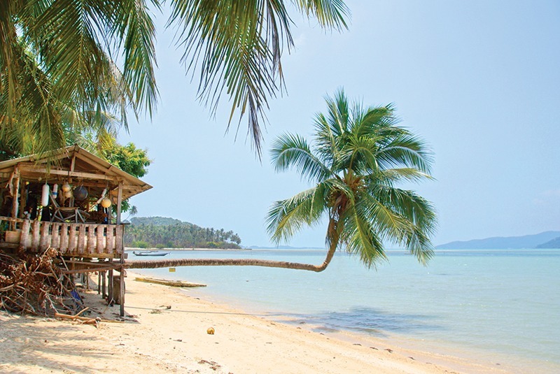 Amazing Norwegian Cruise Linen deal - 14-Night Tropical Panama Sun & Canal Adventures 4 496771201 2516959371982536 8365367724541510142 n Louise and Scott at Hays Travel
