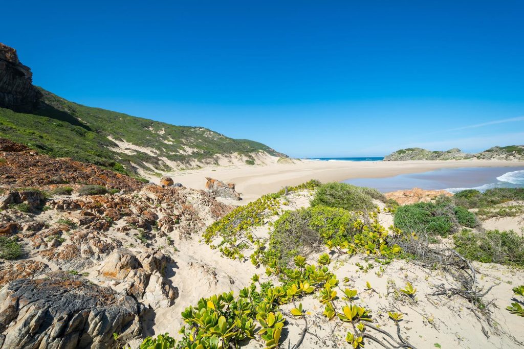 11-Night Self-Drive Family Adventure in South Africa – Unforgettable Journeys Await! 7 499234970 1522977222207274 7624697506462904628 n Louise and Scott at Hays Travel