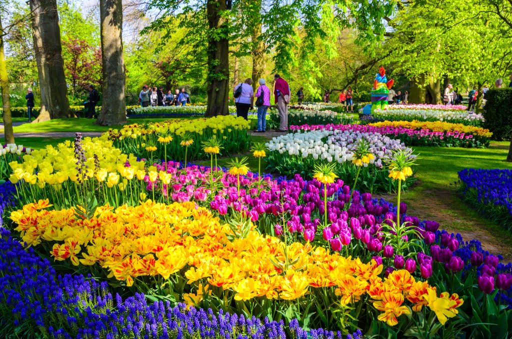 Luxury Travel Escape to the delightful Dutch Bulb Fields Springtime Colours From £905pp 8 500071363 3893868924276871 3107158305385977935 n 1 Louise and Scott at Hays Travel