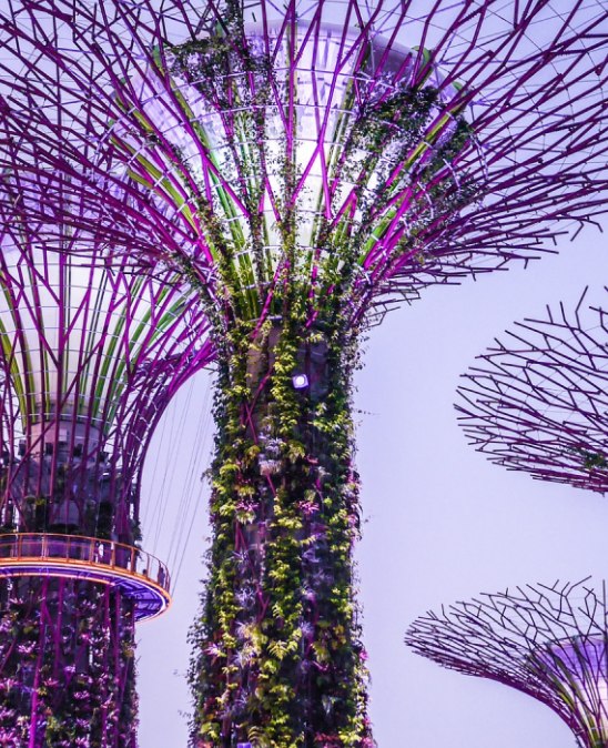 500139131 10163488879316983 3598367551649368638 n Louise and Scott at Hays Travel