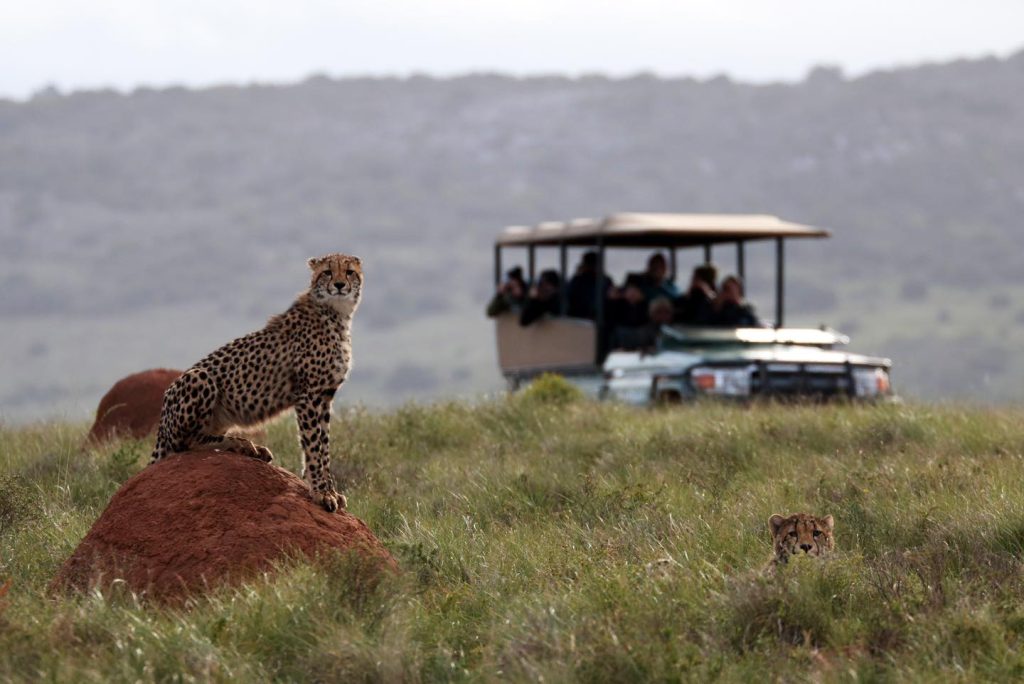11-Night Self-Drive Family Adventure in South Africa – Unforgettable Journeys Await! 6 500266031 1522977172207279 289848554312883406 n Louise and Scott at Hays Travel