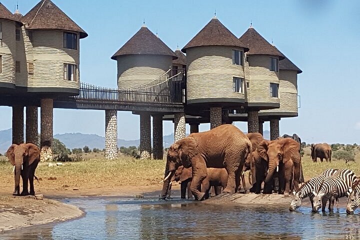 Unforgettable Safari Moments in Nairobi & Taita Hills from £2630 pp 1 Salt Lick Lodge