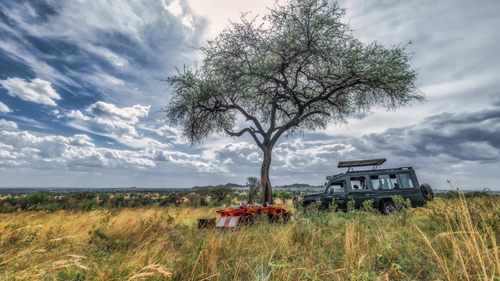 6 Nights in Tanzania: Exclusive Safari Adventure Awaits 5 {