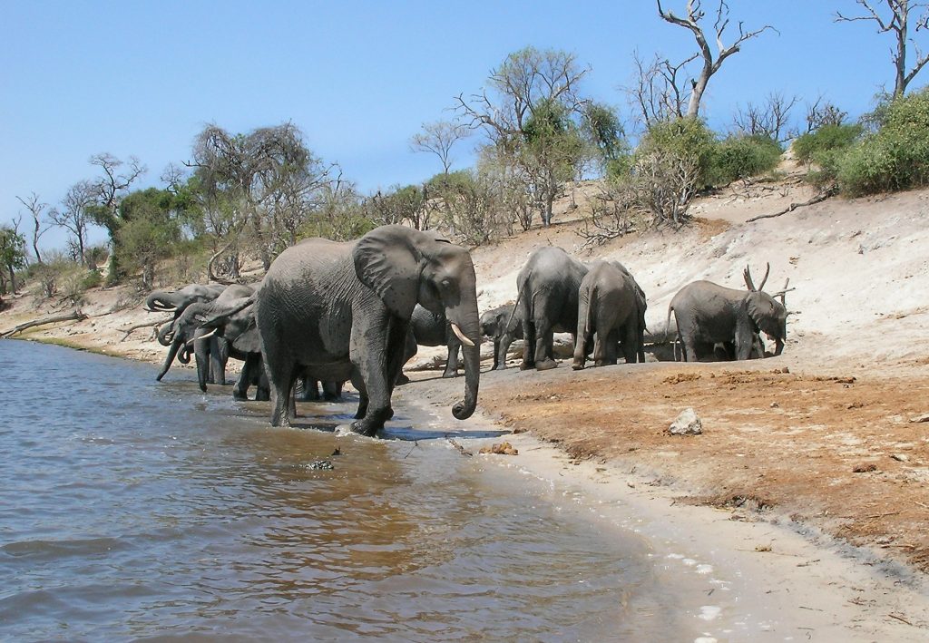 Victoria Falls & Botswana Unveiled: A 10‑Night Ultimate Safari Journey 8 307e35d7c229b4403ecd0901968d7f38 Louise and Scott at Hays Travel