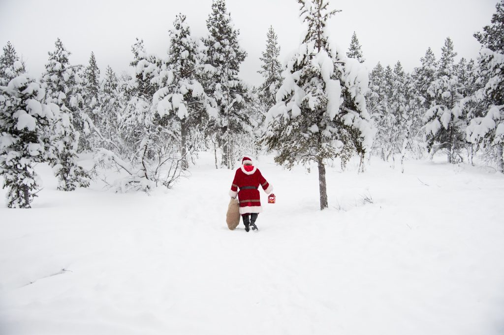 Amazing True Lapland 2026 – Now on Sale! 3 true lapland