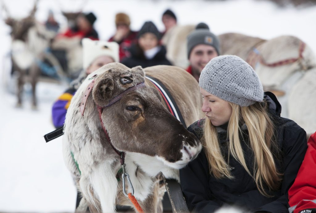 Amazing True Lapland 2026 – Now on Sale! 11 482128608 10171281134435293 3895726681009192922 n Louise and Scott at Hays Travel