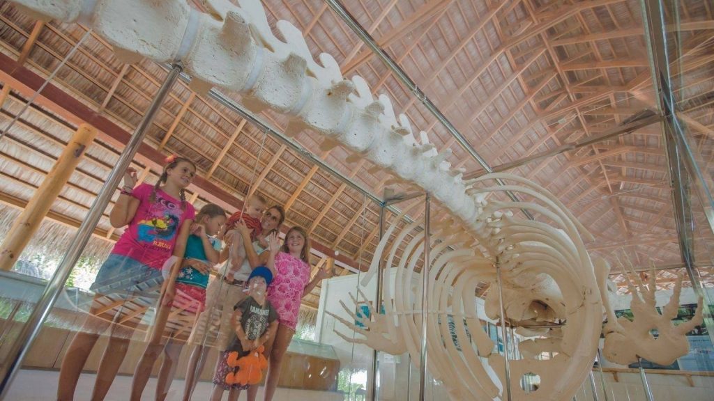 Ultimate Family Kuramathi Maldives Escape – May half Term from £8225 per family 13 502579785 708389845246374 2795674213716130678 n Louise and Scott at Hays Travel