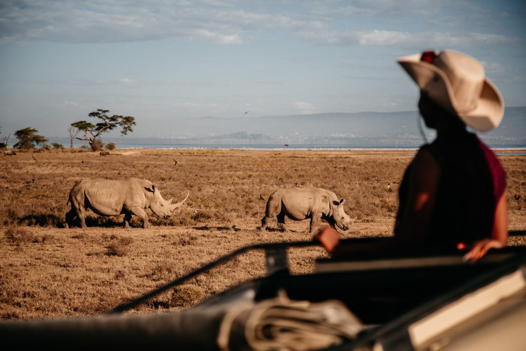 Luxury Safari