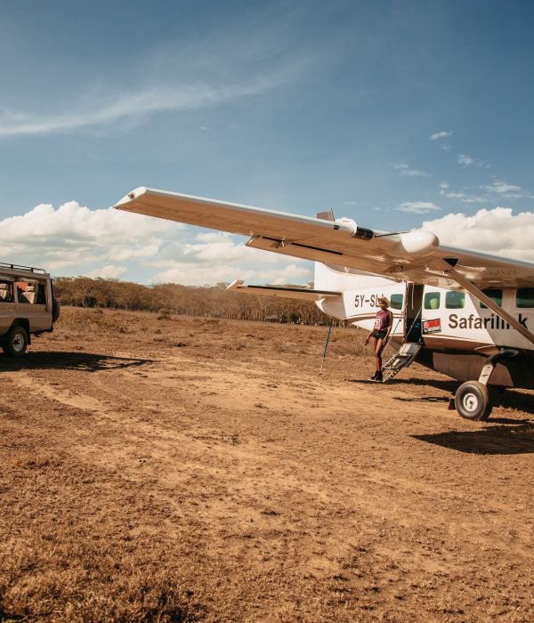 Luxury Safari