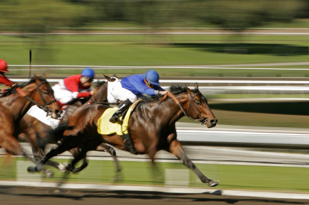 Amazing Kentucky Derby 2026 Experience FROM £4295pp 4 503856501 1288875579907988 4708864361956555766 n 1 Louise and Scott at Hays Travel