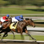 Horse Racing