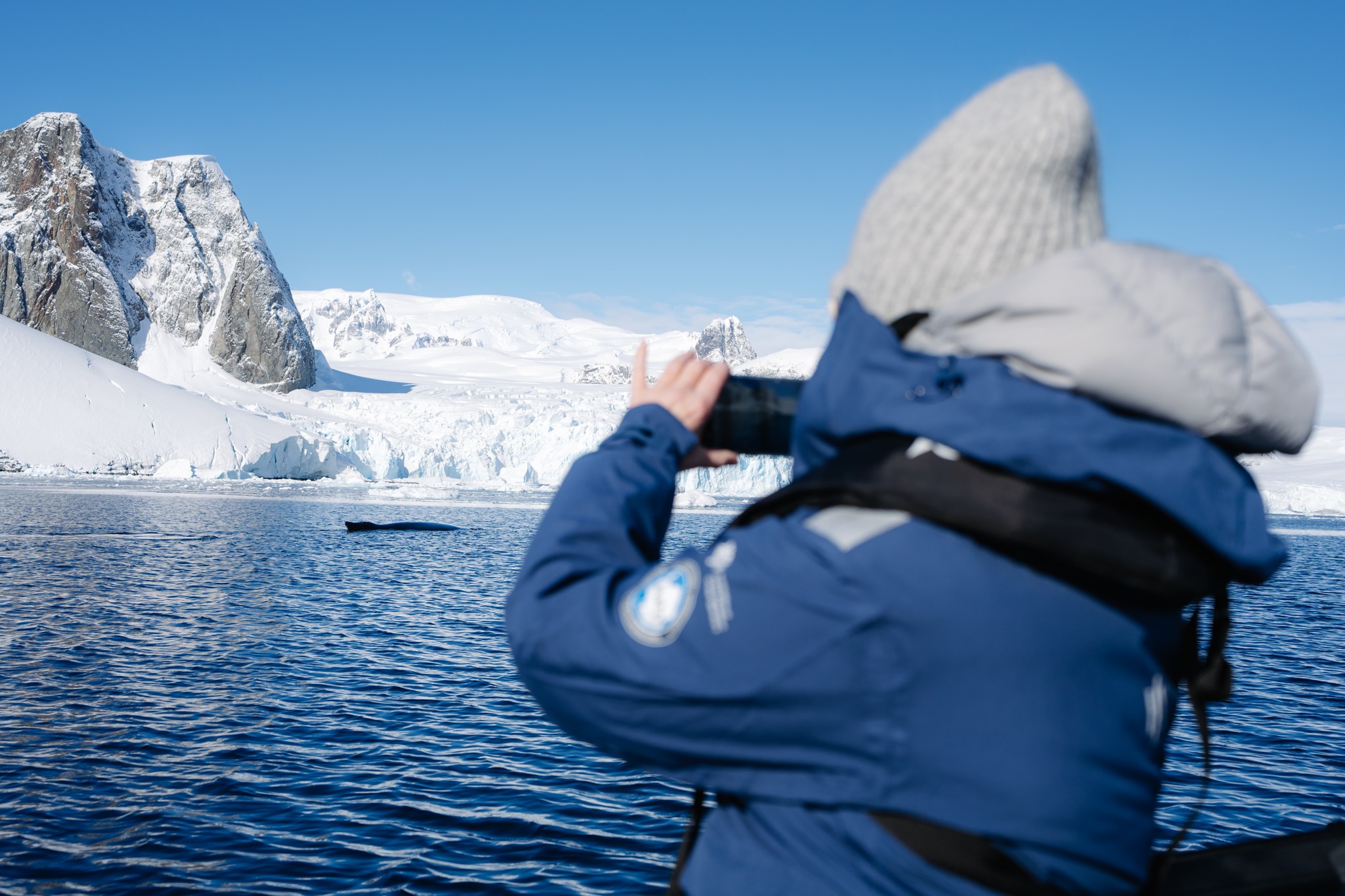 expedition cruising