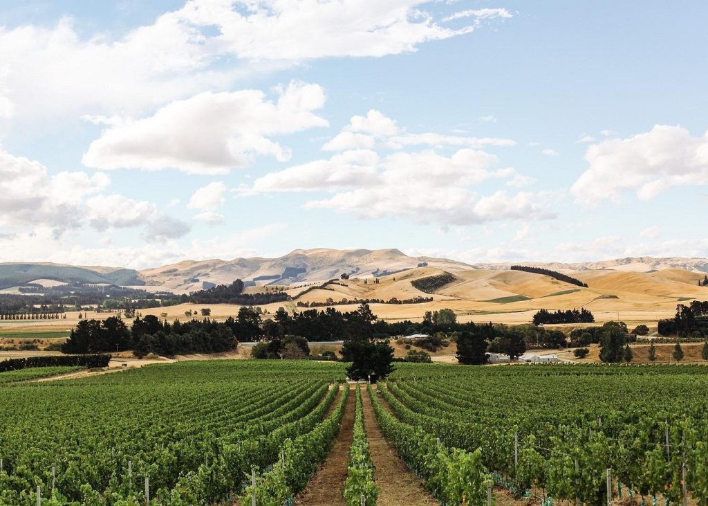Luxury Wine Holidays with Louise and Scott from £4926pp 13 505269057 10164974275774688 4847825443129985185 n Louise and Scott at Hays Travel