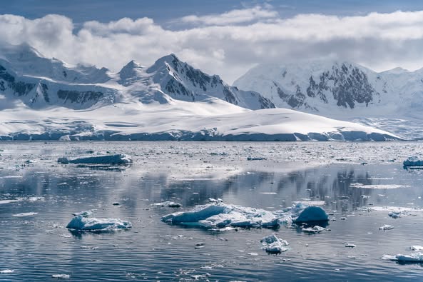 Expedition Cruise Luxury Polar Adventure 2026 2 expedition cruise
