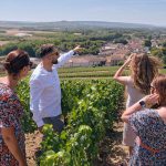 Luxury Wine Tour