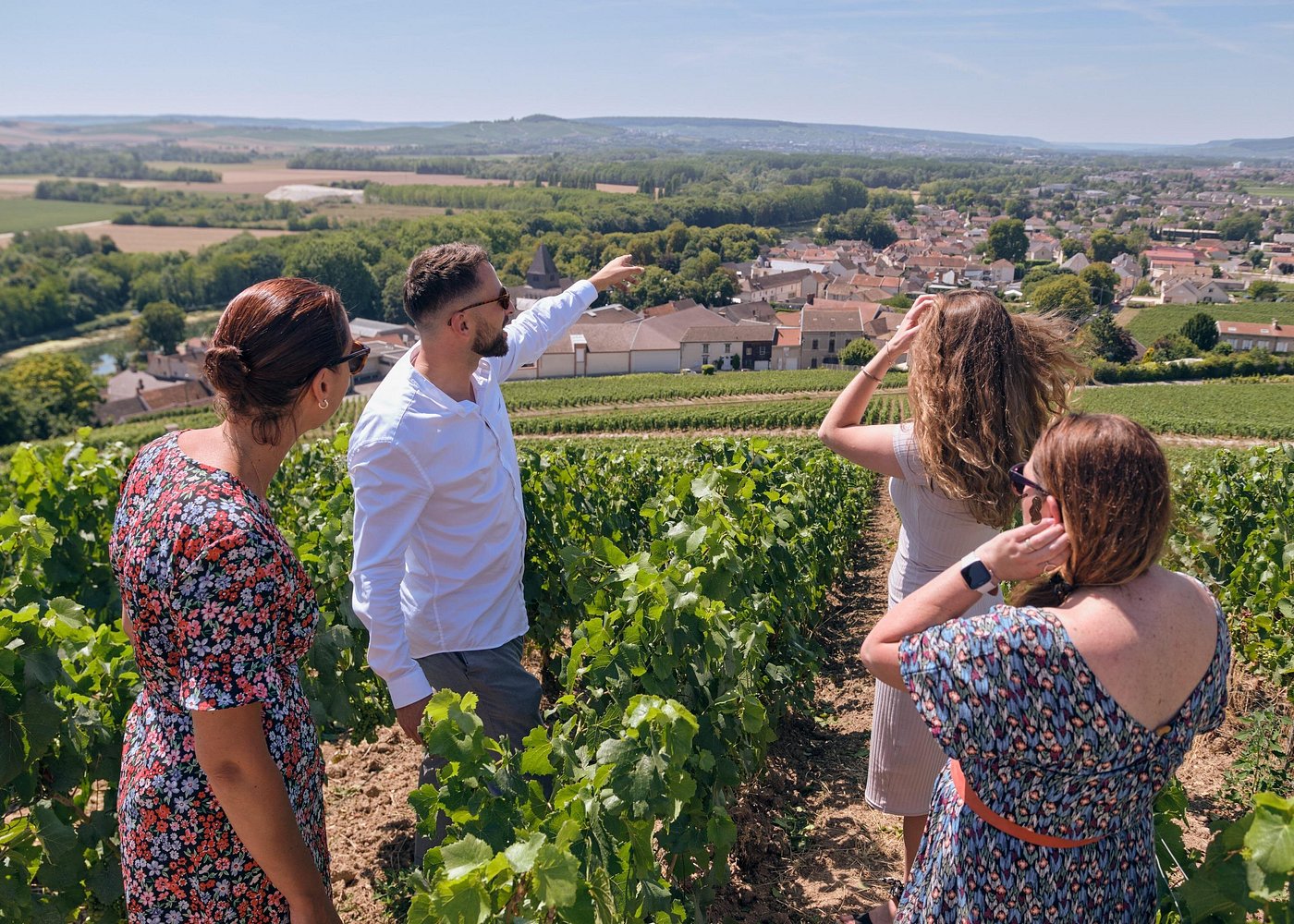 Luxury Wine Tour