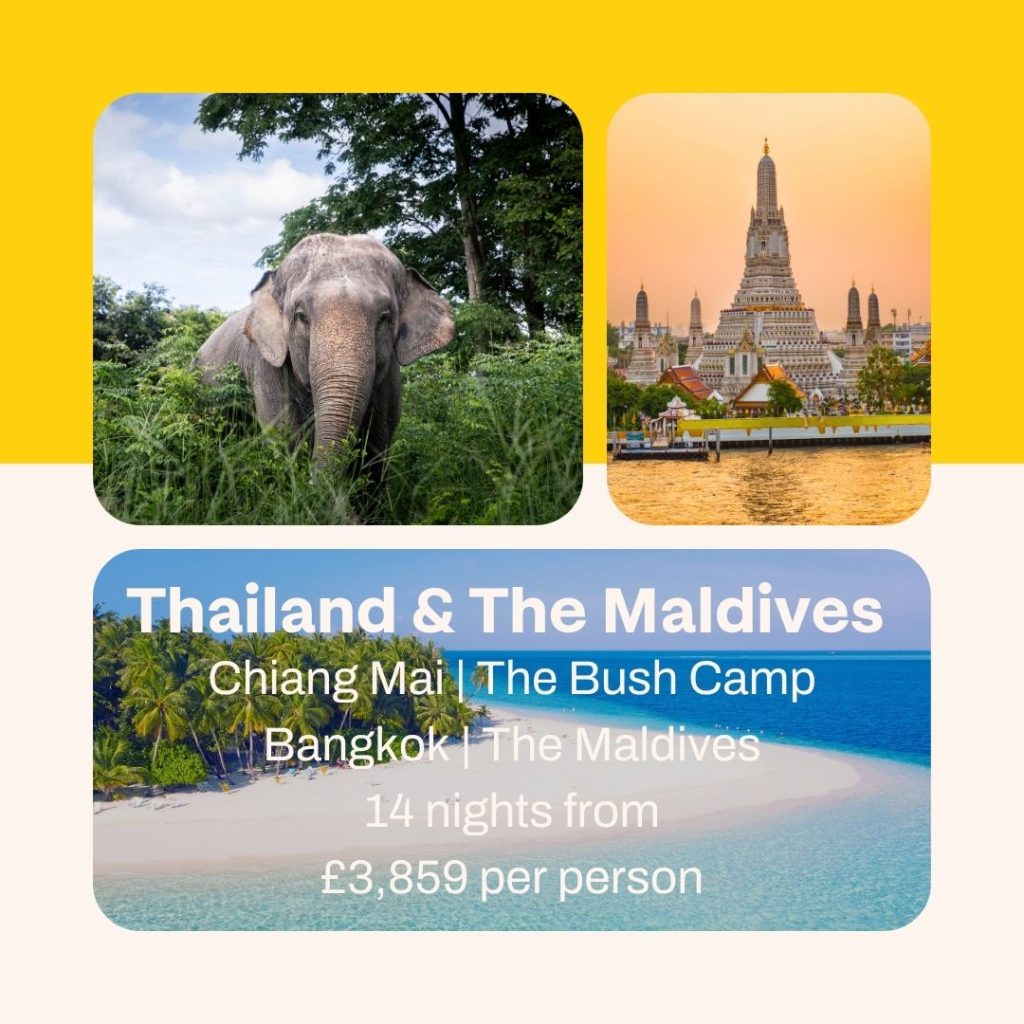 506106132 709323681819657 4500090479861094528 n Louise and Scott at Hays Travel