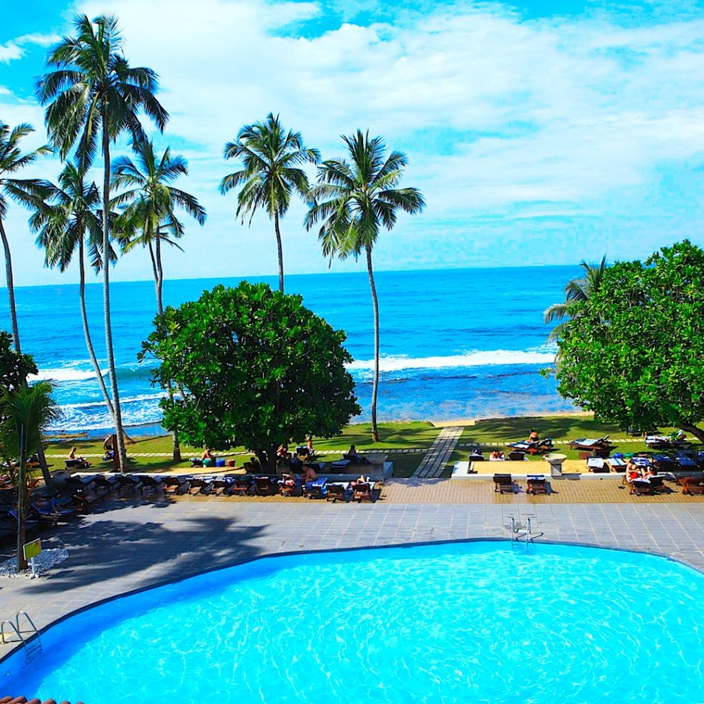 Sri Lankan Holiday - Discover Picture Perfect Holidays with Hays Travel from £1,225pp 4 508495076 1333078465485835 4320139377839481987 n Louise and Scott at Hays Travel