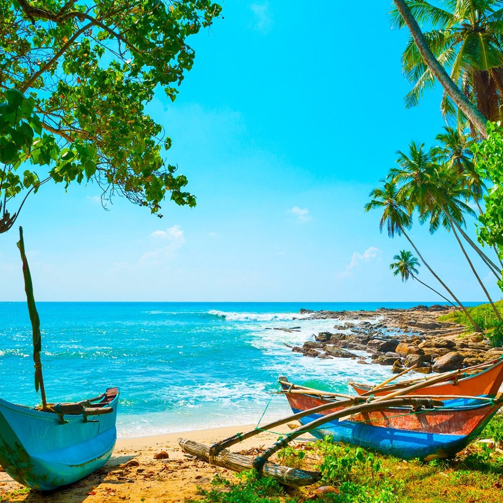 Sri Lankan Holiday - Discover Picture Perfect Holidays with Hays Travel from £1,225pp 2 509419381 1333078472152501 7419325665037014919 n 1 Louise and Scott at Hays Travel