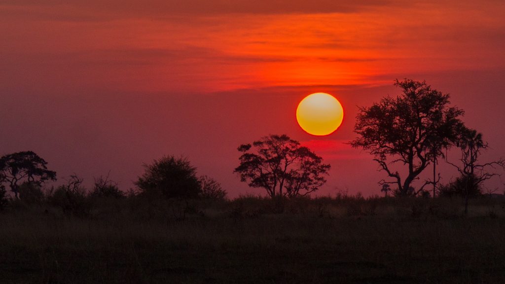 Victoria Falls & Botswana Unveiled: A 10‑Night Ultimate Safari Journey 3 535c8506a6dec76e30d29e85c17319d0 Louise and Scott at Hays Travel