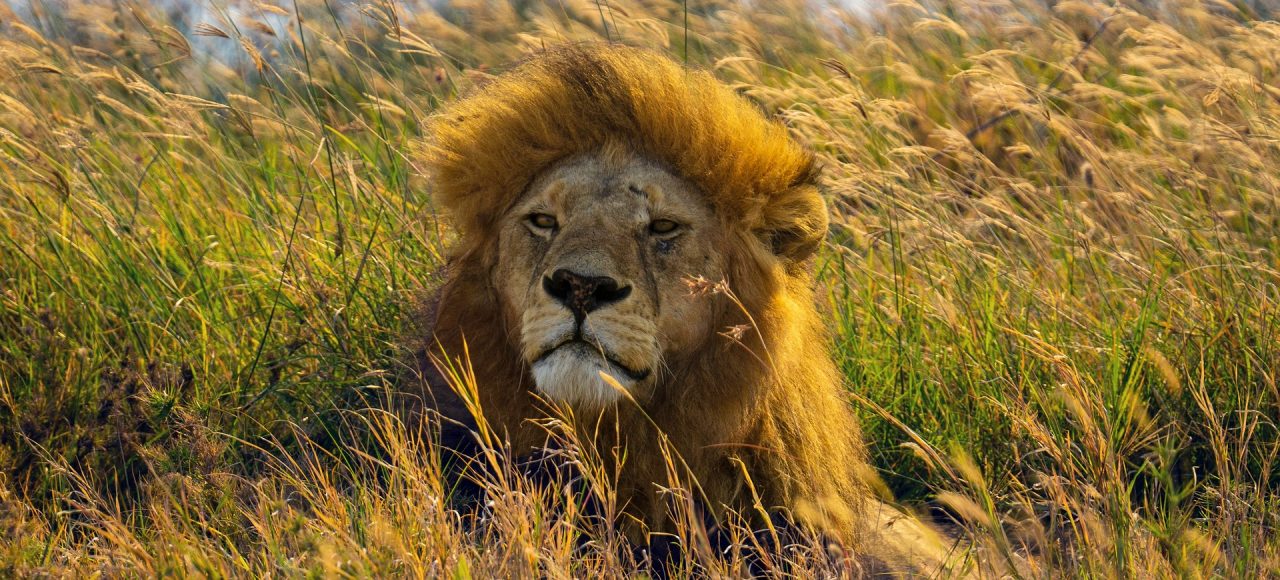 tanzania & zanzibar escape