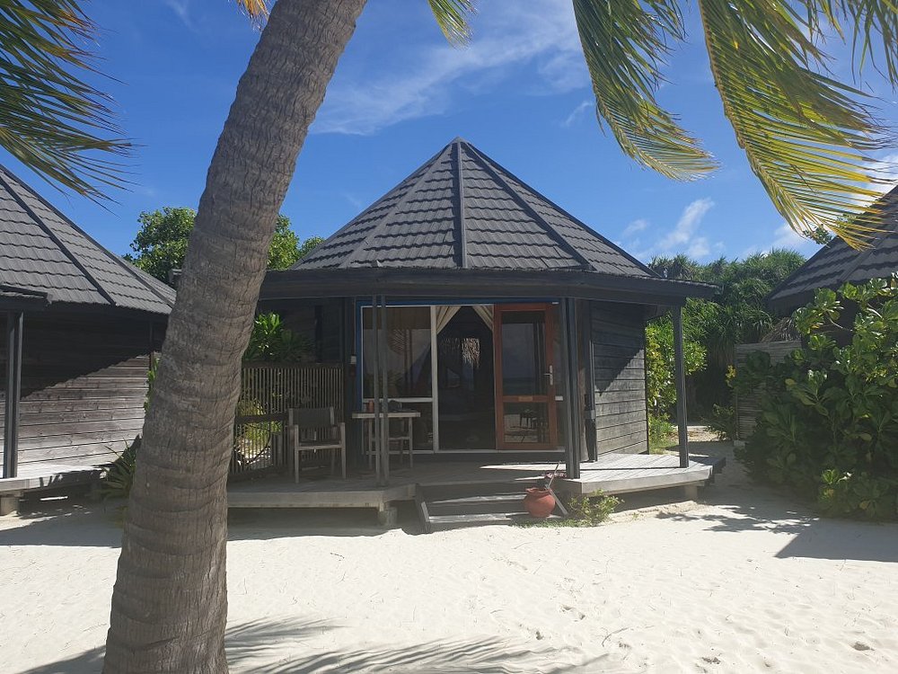 20190608 052801 largejpg 1 Louise and Scott at Hays Travel