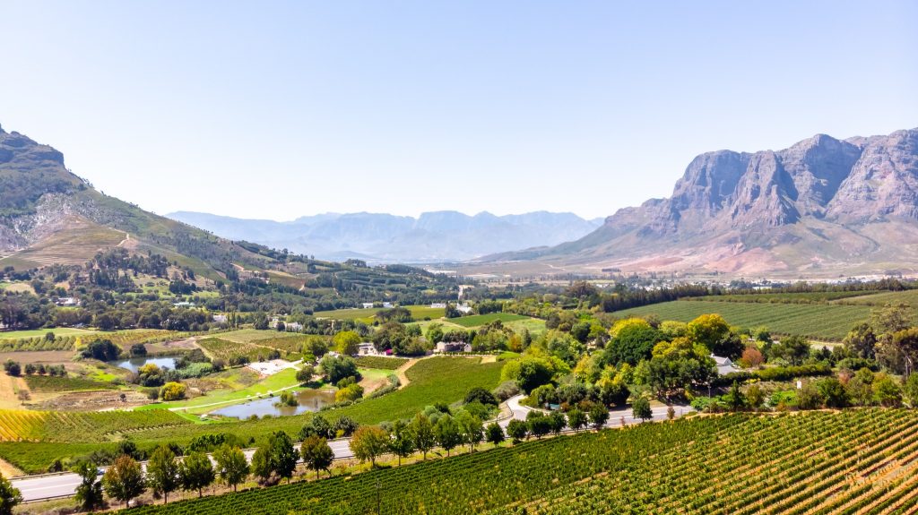 Amazing South Africa Journeys: 9 Nights Blue Train & Guided Garden Route 3 504432616 2497557647263919 9198646117347452657 n 1 Louise and Scott at Hays Travel