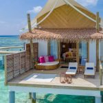 Cinnamon Hakuraa Huraa