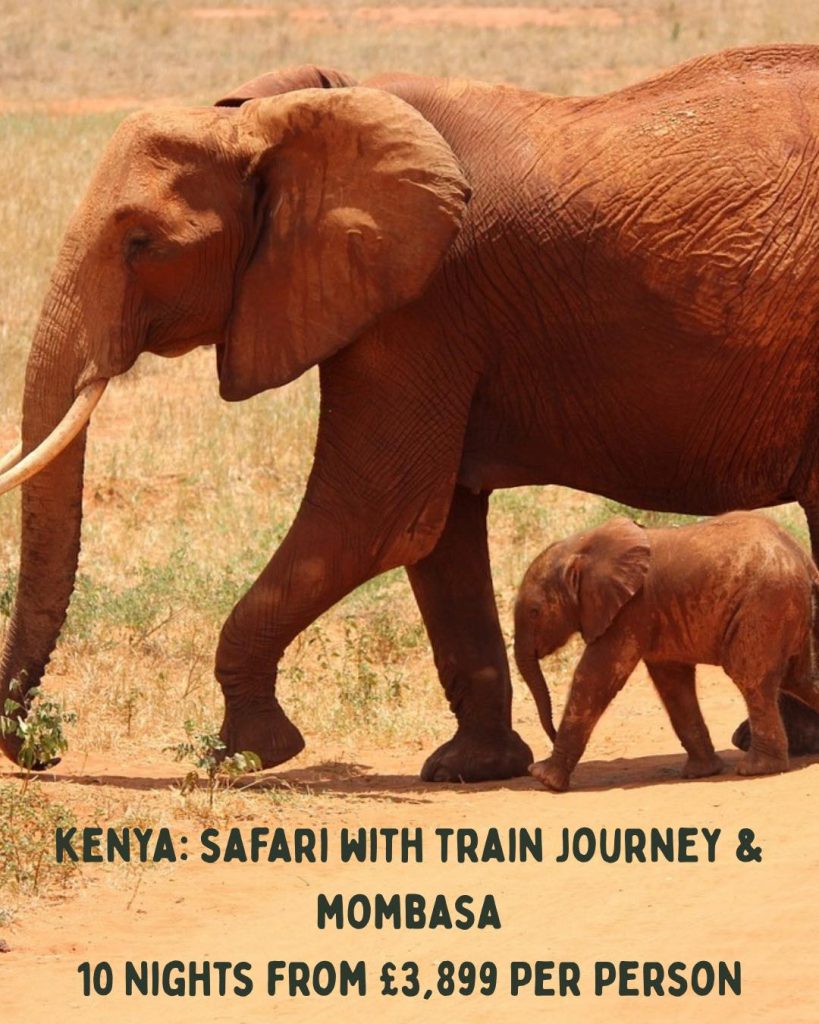 10 Nights: Discover Kenya - Wild Beauty & Mombasa’s Sun-Kissed Shores 6 514101064 1558294985342164 6032270754035577881 n Louise and Scott at Hays Travel