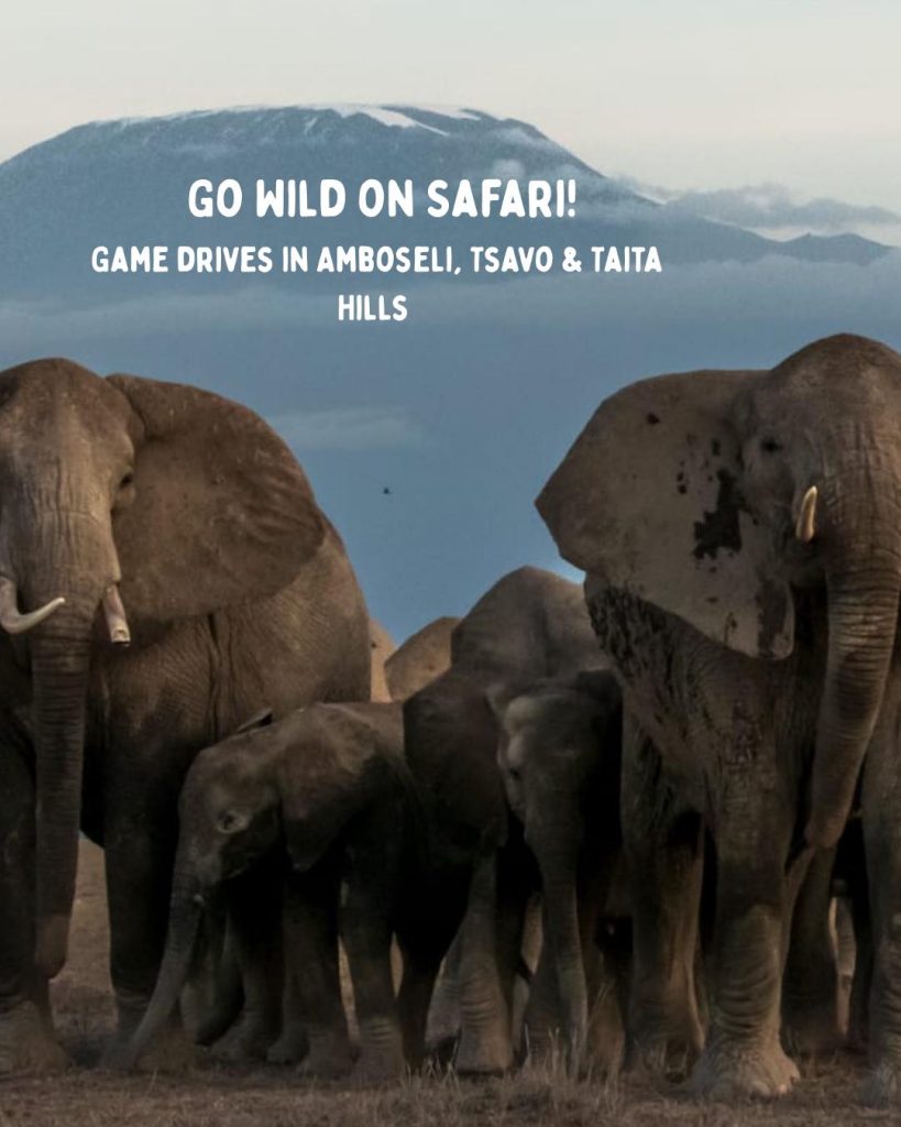 10 Nights: Discover Kenya - Wild Beauty & Mombasa’s Sun-Kissed Shores 4 514402862 1558295012008828 6406163252522781752 n 1 Louise and Scott at Hays Travel