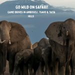 Kenya’s Wild Beauty