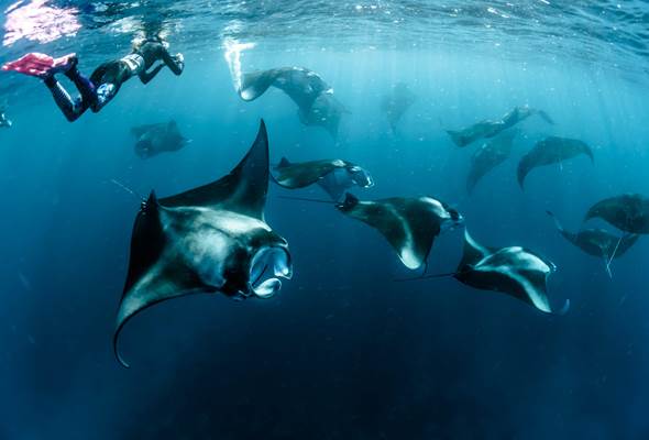 Amazing Siyam Olhuveli Maldives Half Term Family Deal – 7 Nights from £5,196 Total! 5 518315806 10165196557914688 938987604828731709 n 1 Louise and Scott at Hays Travel