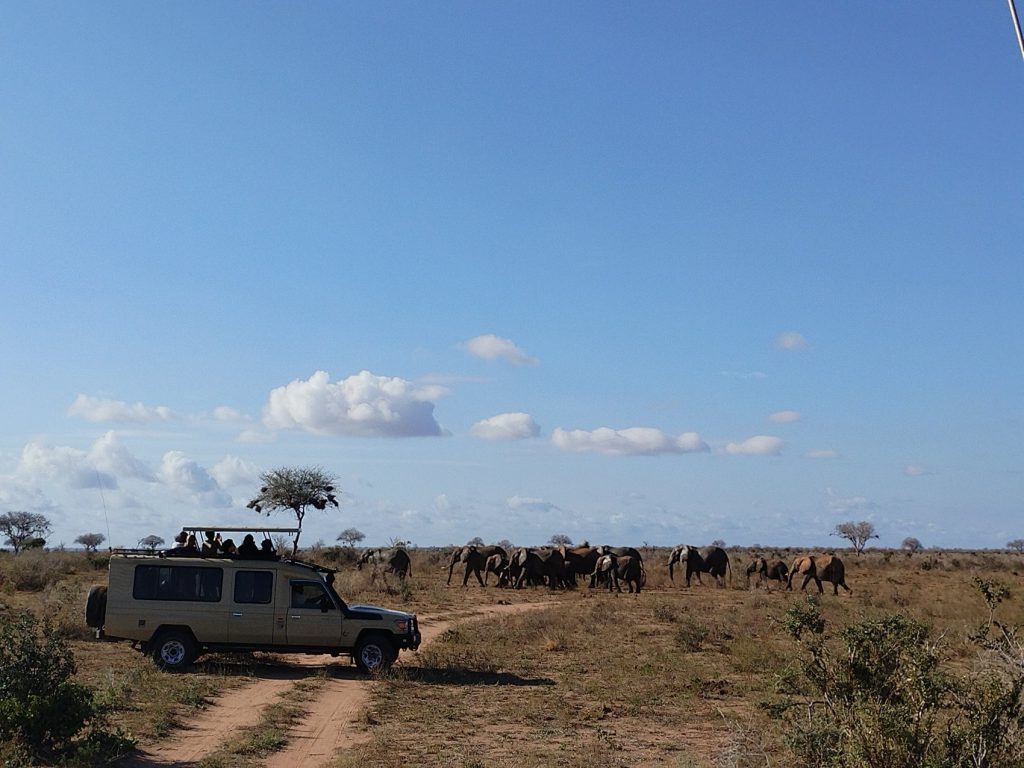 Amazing Kenya: Tsavo east safari & beach getaway from £2229 per person 3 95b9ab289d0726381456048bbdbc32d7 1 1 Louise and Scott at Hays Travel