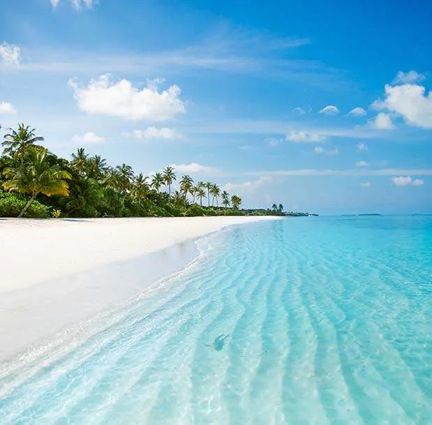 Jawakara beach 619x609 1 Louise and Scott at Hays Travel