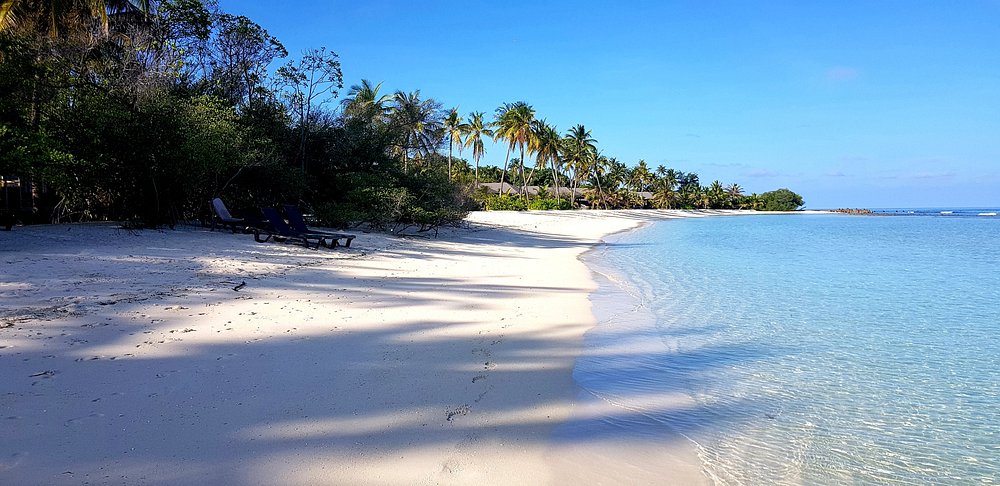 kuredu island resort 16 Louise and Scott at Hays Travel